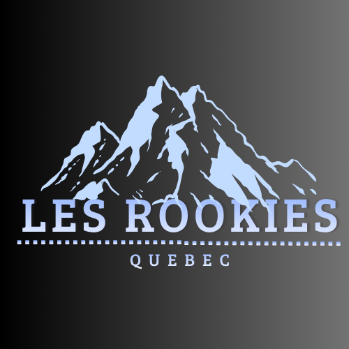 Logo de l'entreprise Rookies montrant undesign de montagne montagne