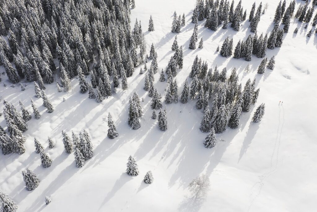 #Vue aérienne #Forêt # Arbres # Neige