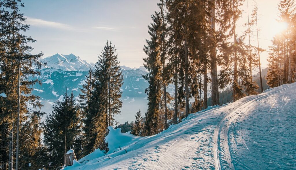 #Journée ensoleillé #Nature #Forêt # Montagnes #Neige